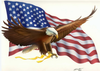 Eagle Flag Engle Bob Image